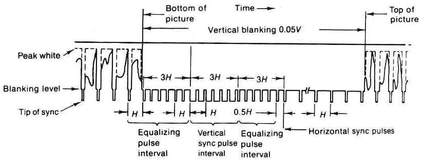 wpe17.jpg (29276 bytes)